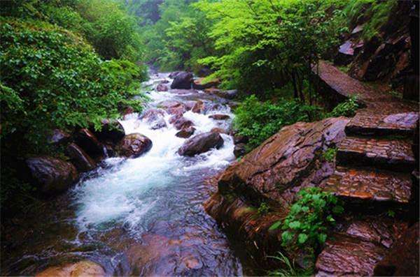 大奇山國家森林公園/桐廬旅游必玩的景點推薦