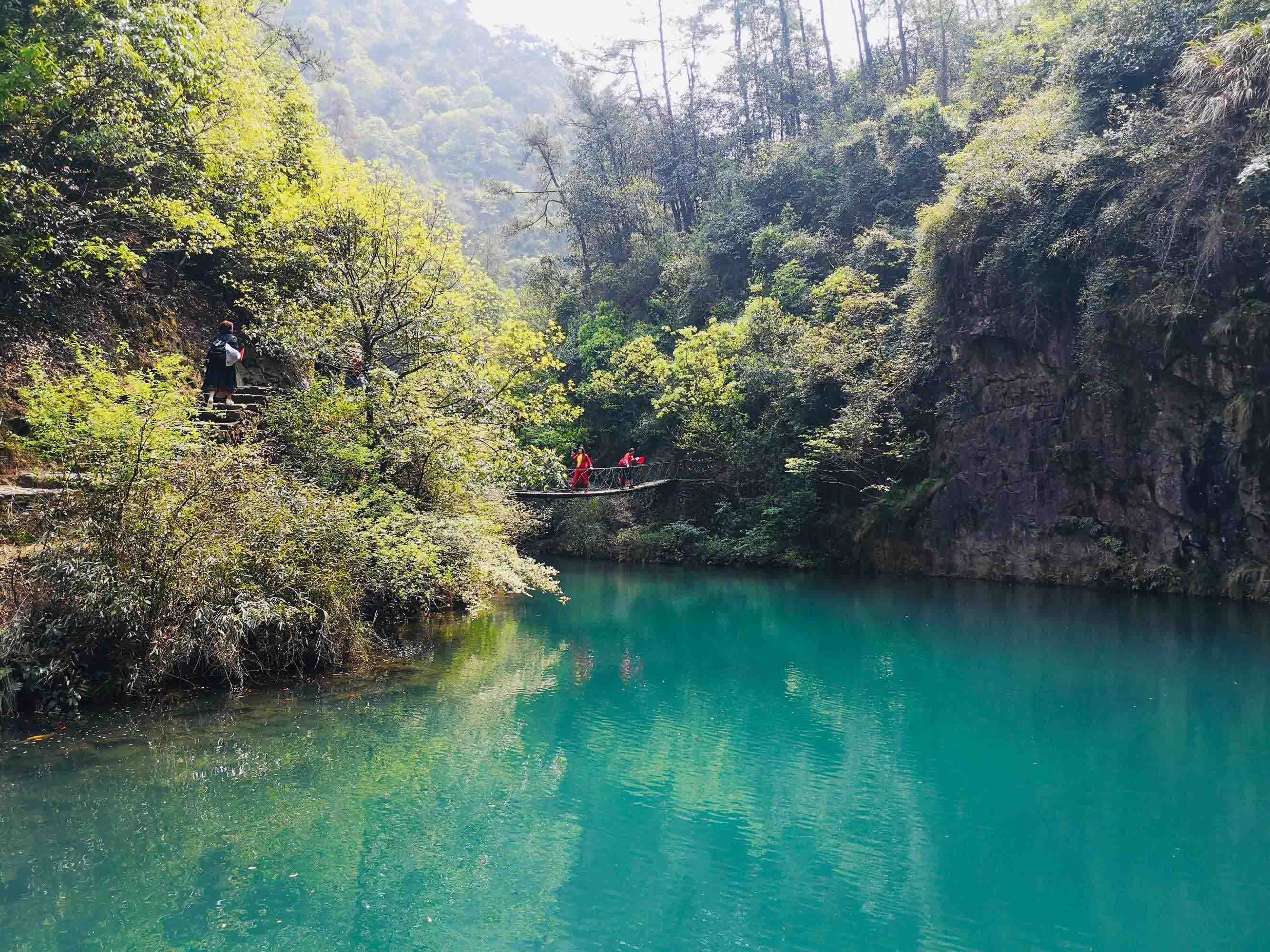 大奇山國家森林公園/桐廬旅游必玩的景點推薦