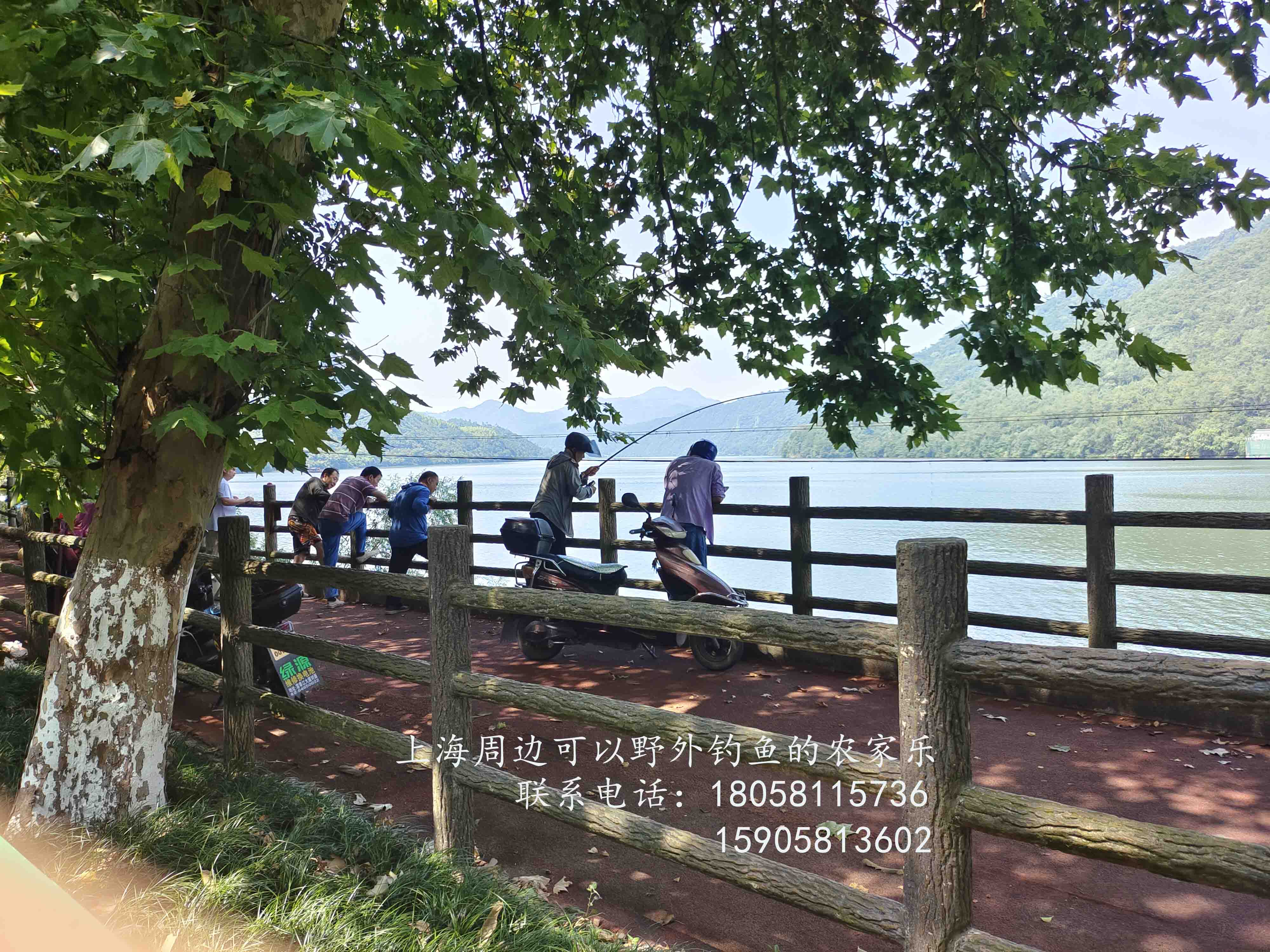 春節(jié)上海周邊自駕游攻略推薦