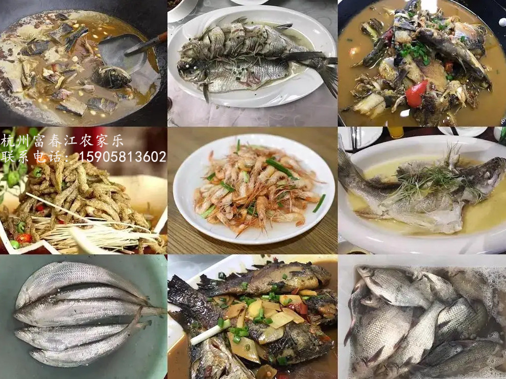 浙江農(nóng)家樂休閑旅游包吃住包接送推薦